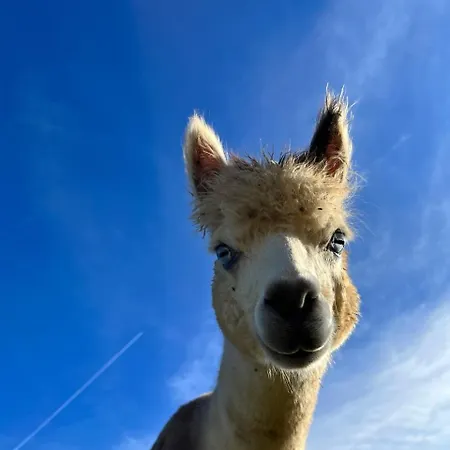 Hébergement de vacances La Borie *