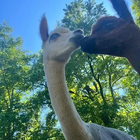 La Borie Vakantiehuis *