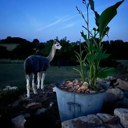 La Borie Casa de Férias *