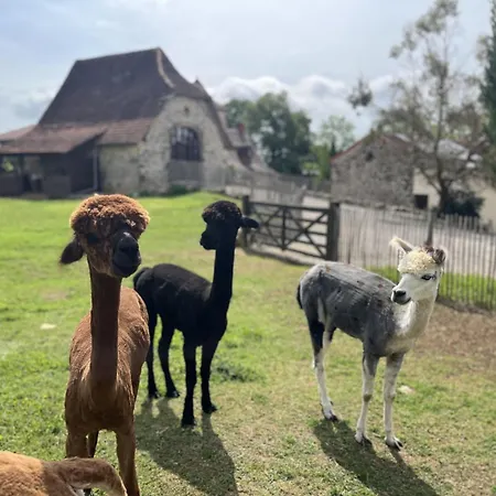 Vakantiehuis La Borie Fons (Lot)