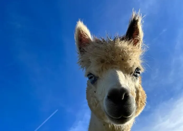 Semesterbostad La Borie *