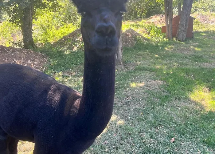 La Borie Semesterbostad