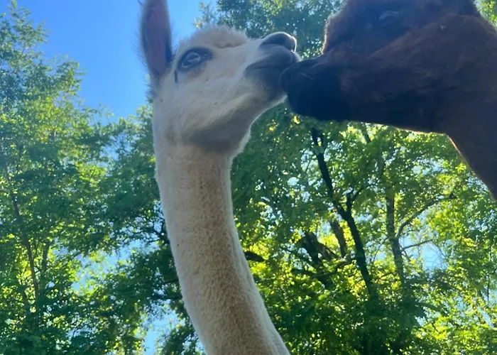 La Borie Semesterbostad *