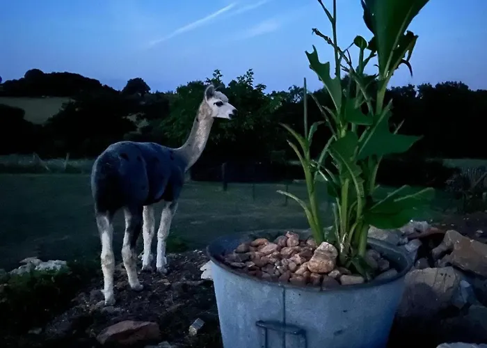 La Borie Semesterbostad *